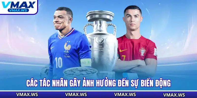 Các tác nhân gây ảnh hưởng đến sự biến động