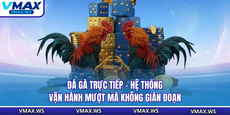 Đá Gà Trực Tiếp - Hệ Thống Vận Hành Mượt Mà Không Gián Đoạn