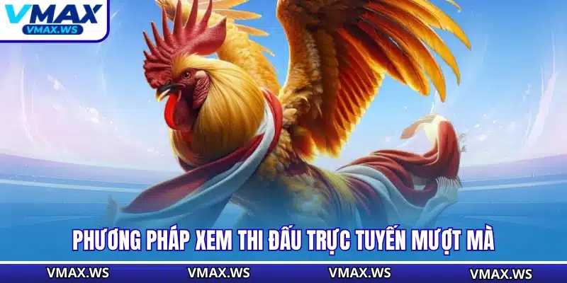 Phương pháp xem thi đấu trực tuyến mượt mà