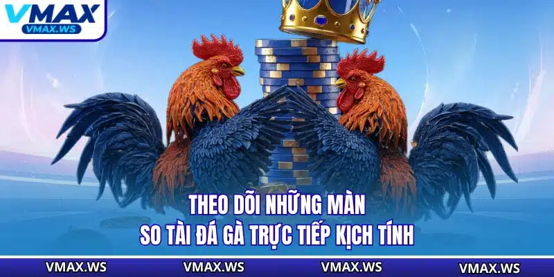 Theo dõi những màn so tài đá gà trực tiếp kịch tính